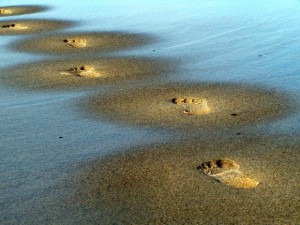 pas-sable